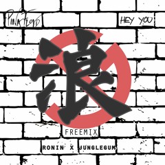 Hey You (Marc Ronin X JungleGum Free Mix) - Pink Floyd
