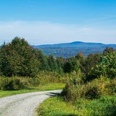 (MAPLE Ethos #8) Freeing Leaders From Their Own Greed