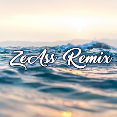 Stereo Puce (Ze Ass Remix)
