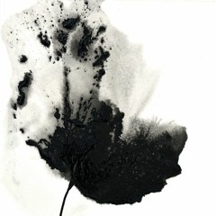 Acid Black Flower (Unmastered Klamer Faded Flower Cut Undesirably)