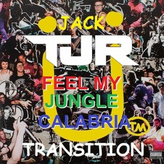 TJR Vs Jack U - Feel My Jungle Calabria  Hitchy 150 - 128 Transition