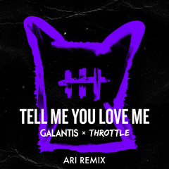 Galantis - Tell Me You Love Me (Ari Remix)