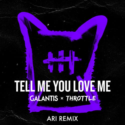 Galantis - Tell Me You Love Me (Ari Remix)