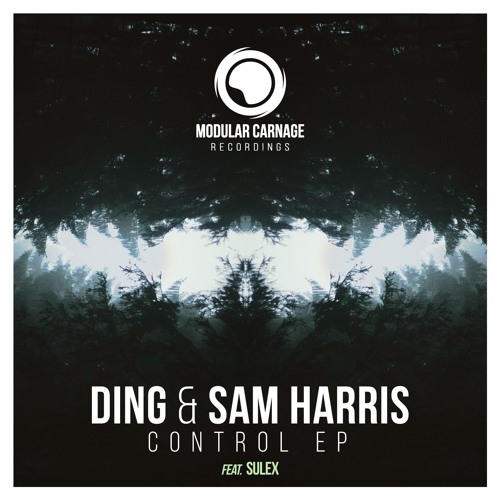 Ding - Doppler (feat. Sulex)