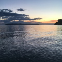 I Can't Make You Love Me