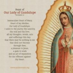 Our Lady of Guadalupe Year B - 2017 December 12th