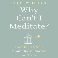 Why Can't I Meditate (Self Improvement)