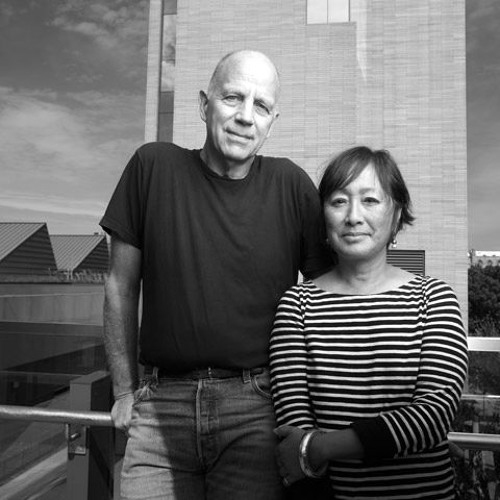 Stream episode Episode 5 – Tod Williams and Billie Tsien: The ...