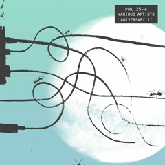 08  Pol Del Sur - Ya Nadie Se Sorpende