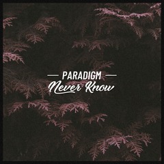 Paradigm - Never Know (prod. Weaver Beats)