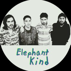 Something better - elephant kind (ukulele cover)