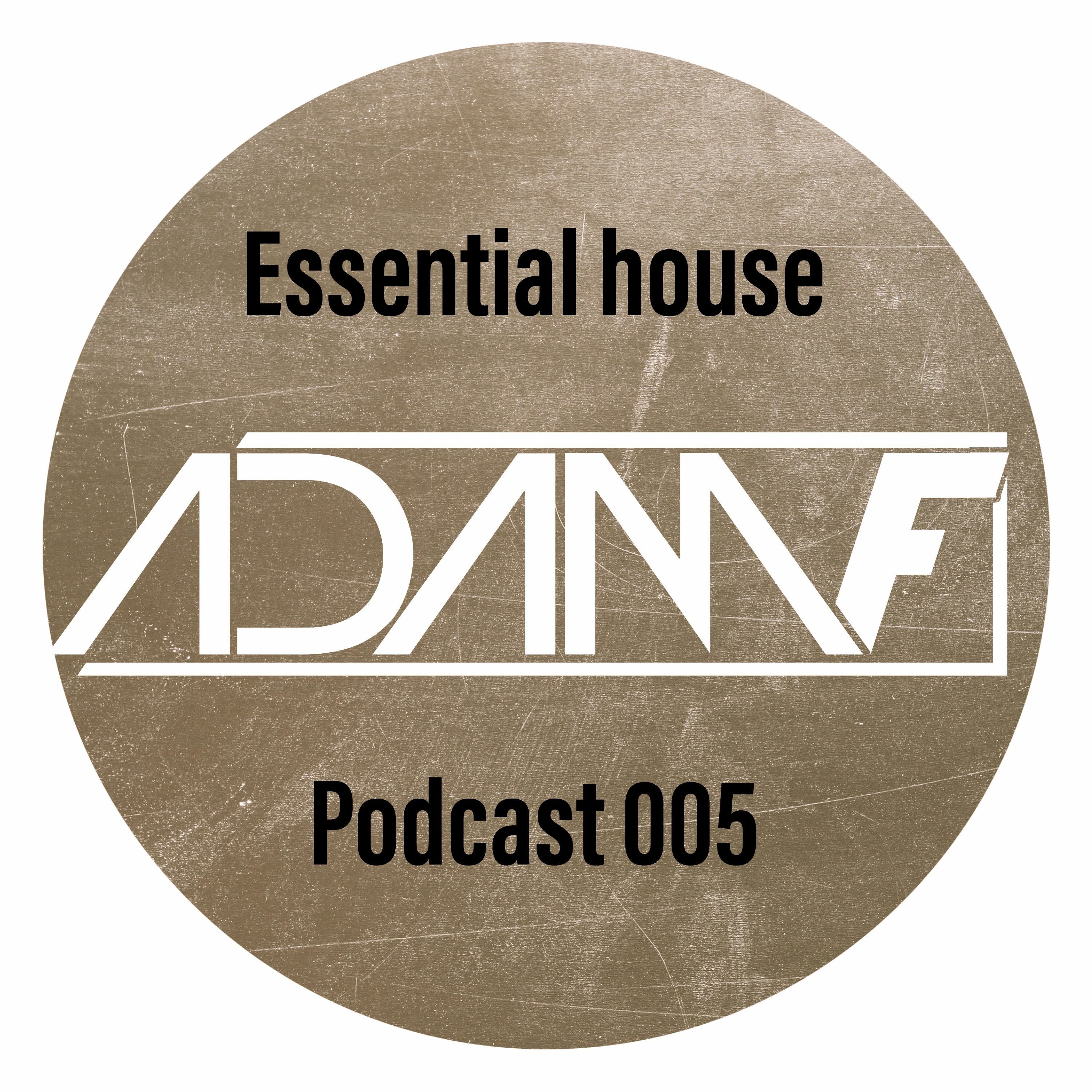 Essential House 005