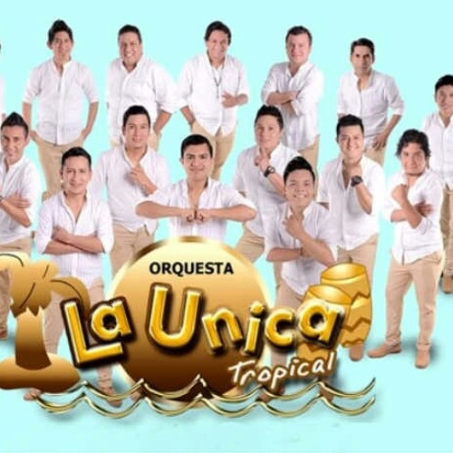 MI PRIMER AMOR - LA UNICA TROPICAL (VIDEO 2017).m4a