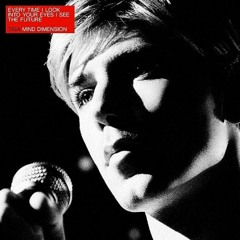 Tiga - Mind Dimension (Phrantic Remix) [Haaradak HardPsy Flip] FREE DL (PRESS BUY)