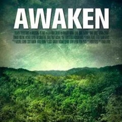 Awaken Original Motion Picture Soundtrack Selections