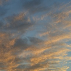 The Sky Is The Limit, But My Body Is Made Of Roots