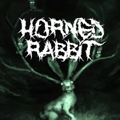 down the rabbit hole w/cymatica