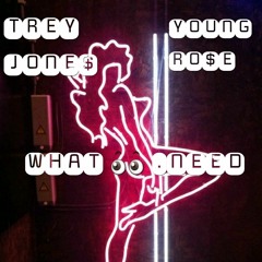 What I Need ft. Young Ro$e (Prod. By DQ Productions)