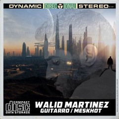Walid Martinez - Meskhot (Open Bar Music ) Out Now!