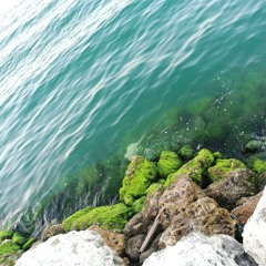 حول ياغنام - صبحي توفيق