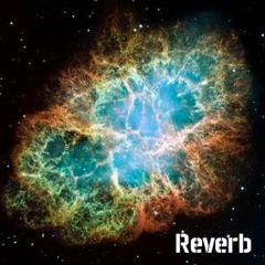 Reverb 01