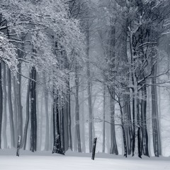 Improv Excerpt - Winter Chill