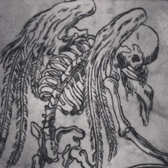 BLACK COLOR