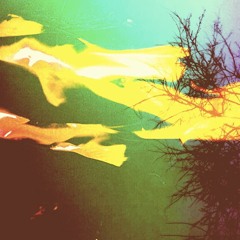 Past life transmission