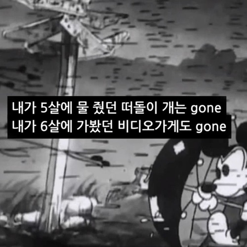 뒤죽박죽 섞인 나의 새벽은 영하를 부유한다