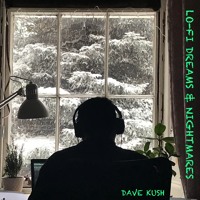 Lo Fi Dreams Nightmares By Dave Kush