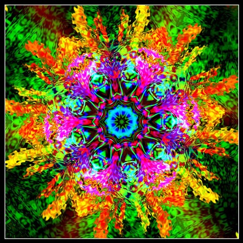 Dj Wàkàme | Psytrance Makes Me High - FDLR Podcast 027 | 148 BPM