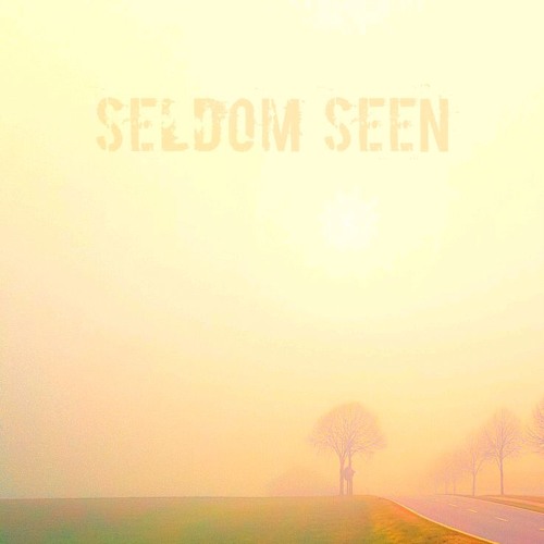 Seldom Seen (Featuring Messy the Man and Sad Kid Stories Produced by Anno Domini)