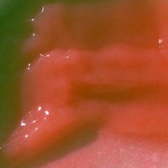 But With What Protein? - Straining Collection