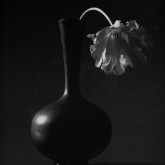 Marco Lucchi & Mean Flow - El Dorado