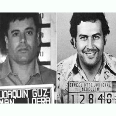 Pablo - BNA OSAMA x BNA Mae