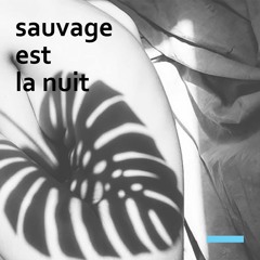 Sauvage est la nuit