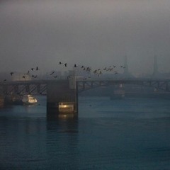 I'm going back to bed