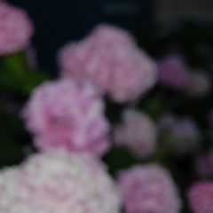 Right Back by vells ft basquiii