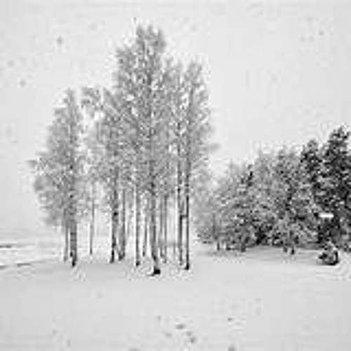 françois DAVID-"SOMETIMES IT SNOW IN APRIL"(PRINCE)