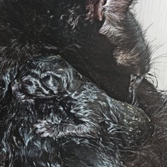 Орбахоса & KHRON - Колискова для Ічі