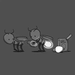 Amarok Fireflies
