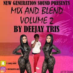 TRIZZY | MIX & BLEND VOLUME 2