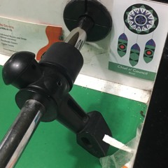 Blue Bird - Chief n’ Council