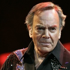 Neil Diamond Tribute