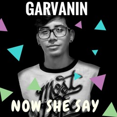 Garvanin - Now She Say (Original Mix)FREE DOWLOAND