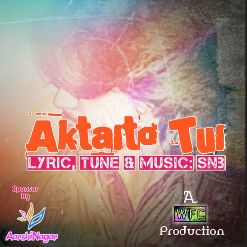aktaito-tui-snb-demo