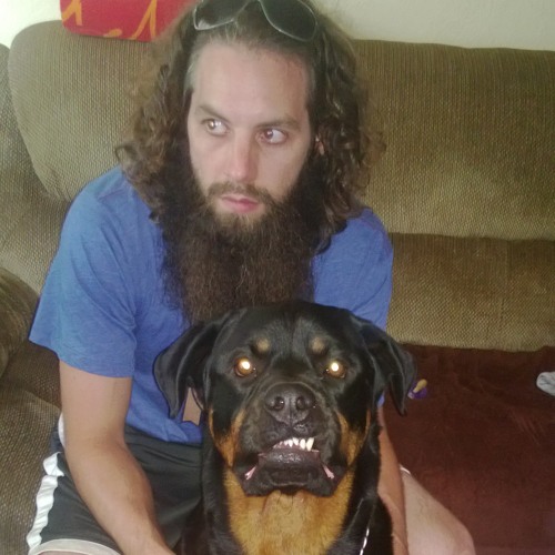 Microwave          2007