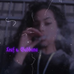 Avalon Ace- Leaf & Gabbana