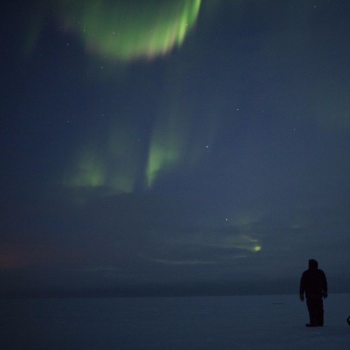 alone in the arctic