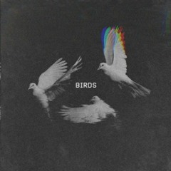 birds (Feat. Thekidx x killjoi) [Prod. by .wav x killjoi]